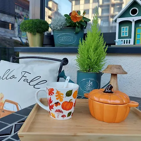 Titova Jelka * Palisat